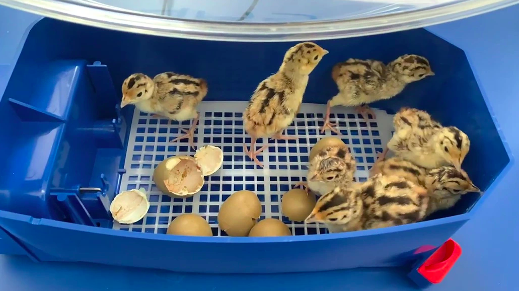 Snímka obrazovky 2024-09-24 o 15.43.15